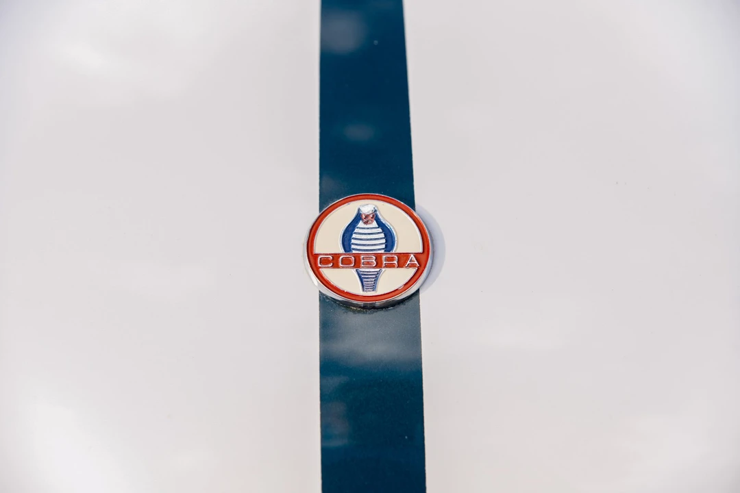 1994 Shelby Cobra Replica - Image 13 of 31