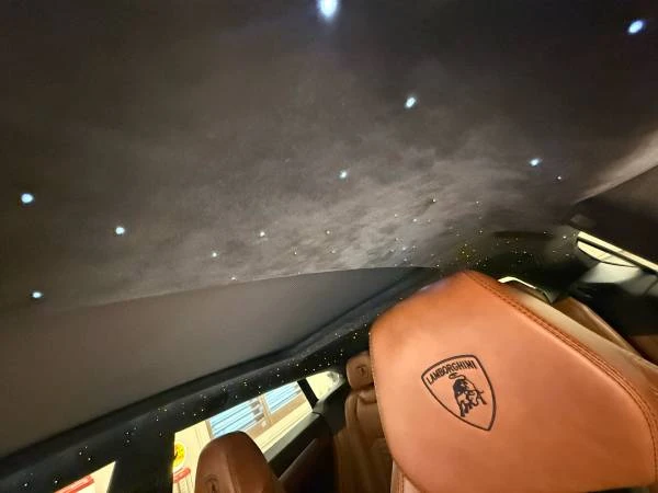 2019 Lamborghini Urus - Image 8 of 19