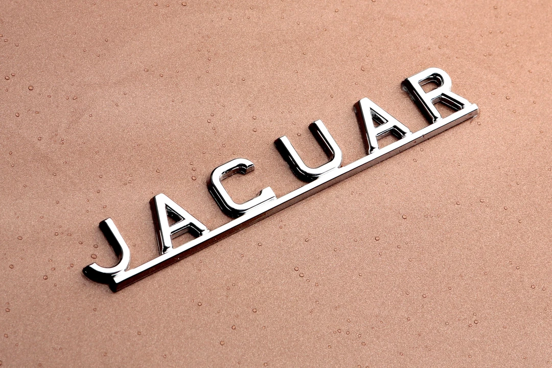 1962 Jaguar E-Type Series 1 - Image 4 of 25