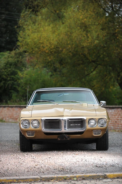 1969 Pontiac Firebird 1st Gen - Image 16 of 17