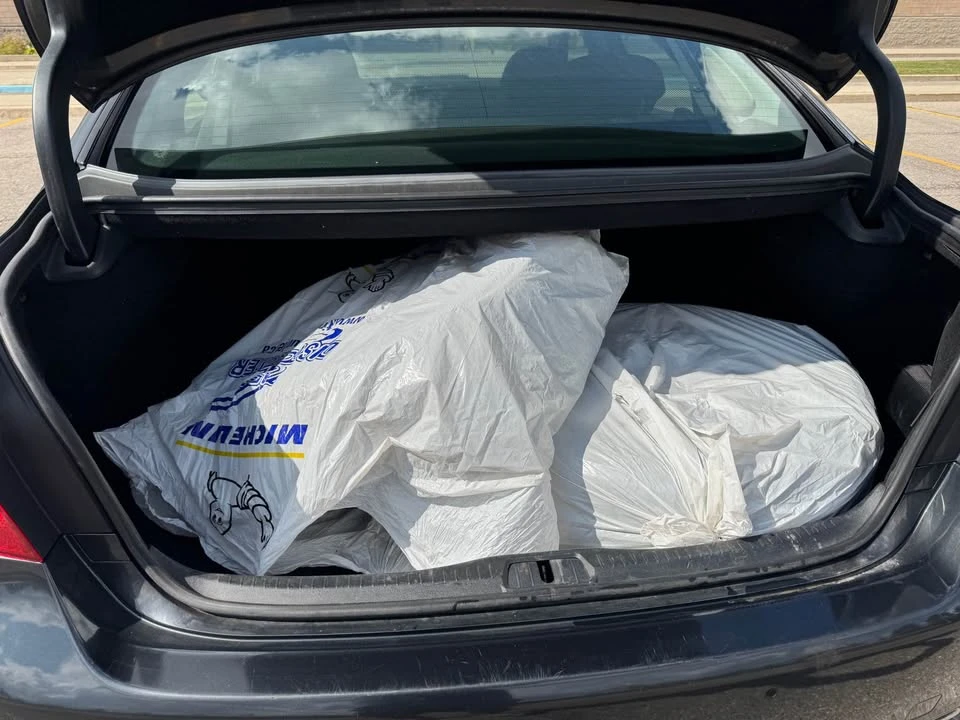 2009 Lexus LS 4th Gen - Image 8 of 10