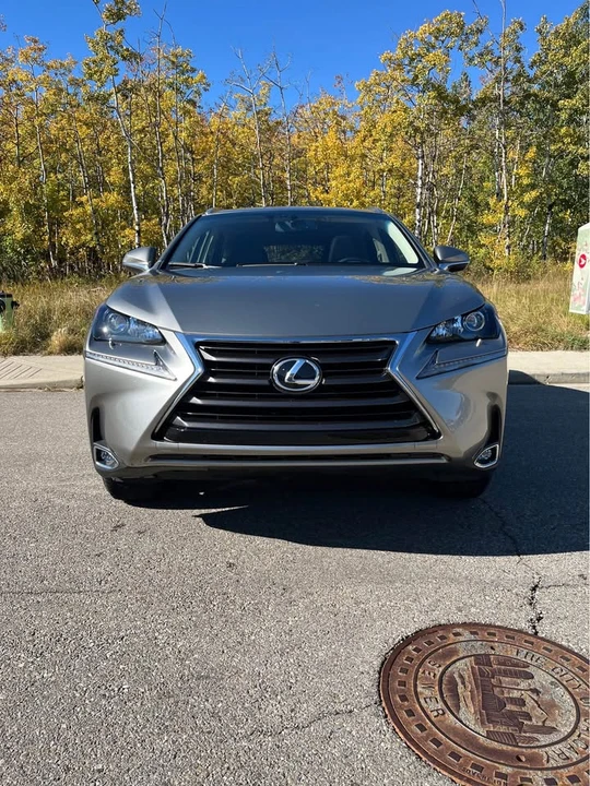 Lexus NX 1st Gen - Image 4 of 10