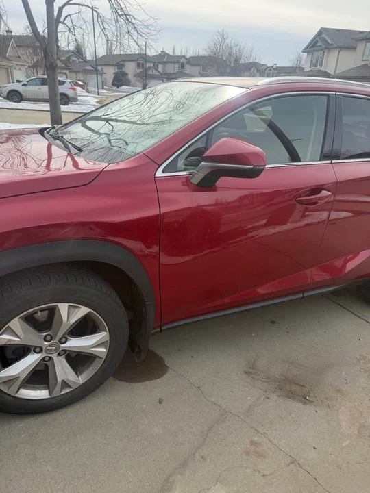 2015 Lexus NX 1st Gen - Image 6 of 10
