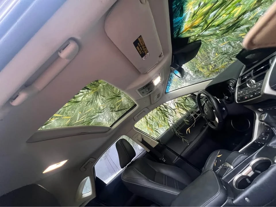 2018 Lexus NX 1st Gen - Image 4 of 9