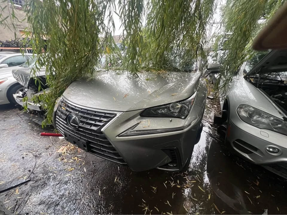 2018 Lexus NX 1st Gen - Image 5 of 9