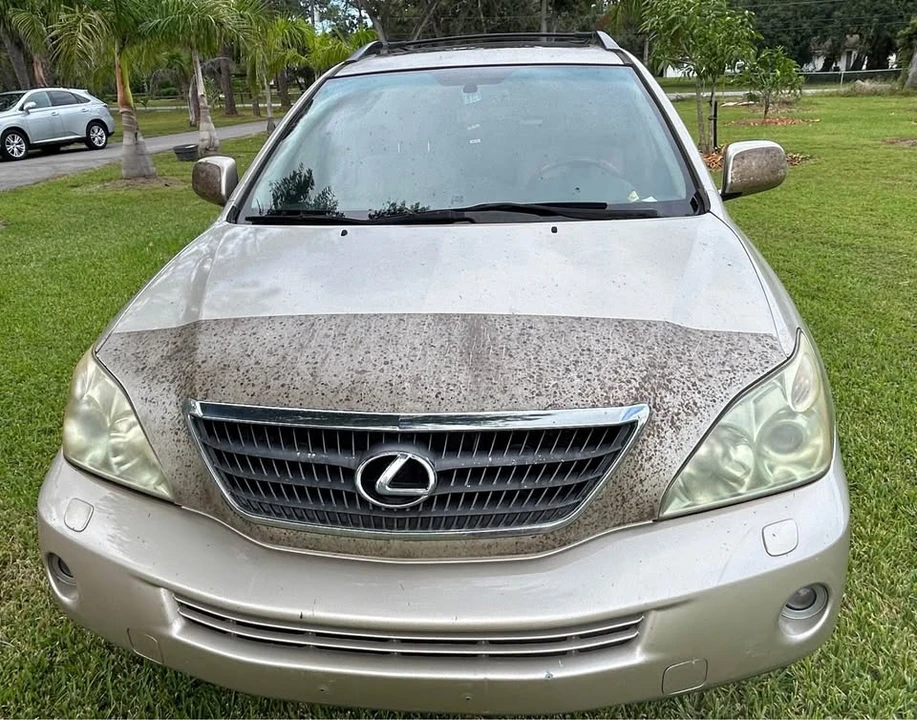 2007 Lexus RX 2nd Gen - Image 2 of 10