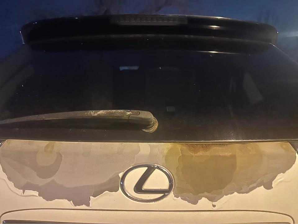 2004 Lexus RX 2nd Gen - Image 4 of 4