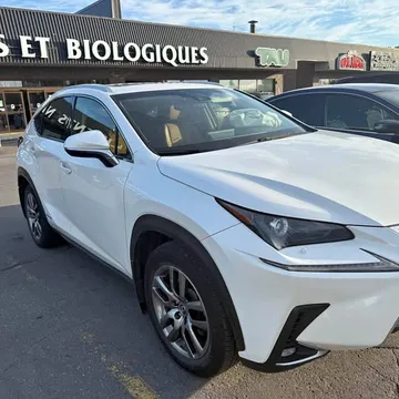 2019 Lexus NX 300h