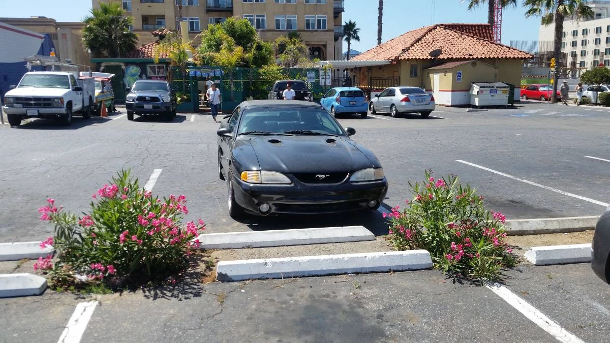 1998 Ford SN95 Mustang Cobra - Image 8 of 14