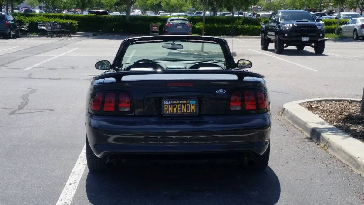 1998 Ford SN95 Mustang Cobra - Image 4 of 14