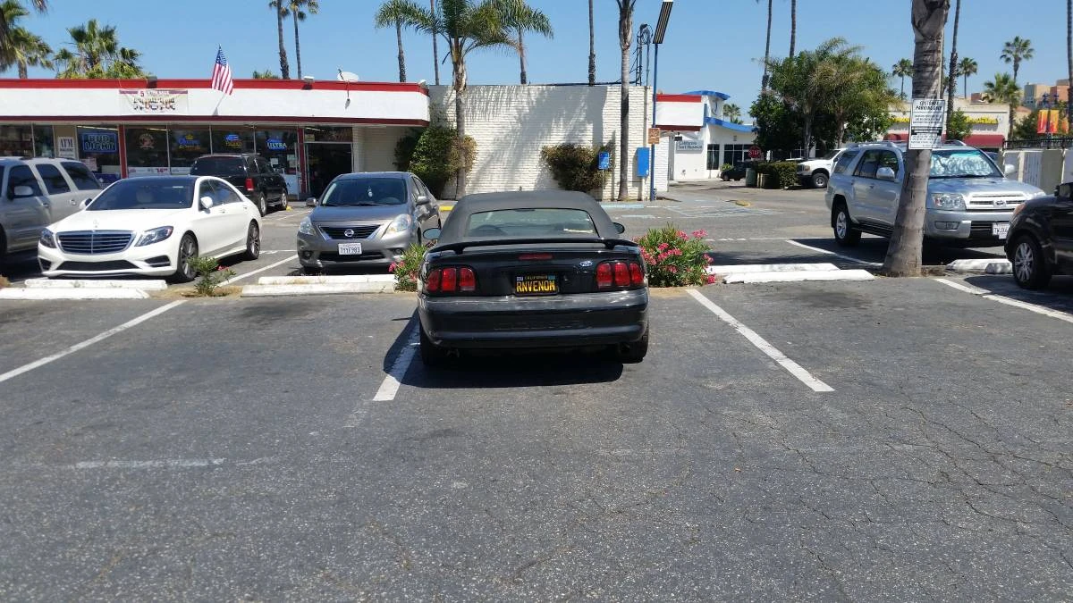 1998 Ford SN95 Mustang Cobra - Image 11 of 14