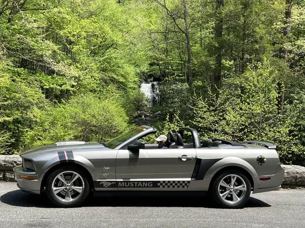 2009 Ford S197 Mustang - Image 15 of 19