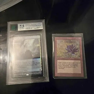 Lotus Black Lotus