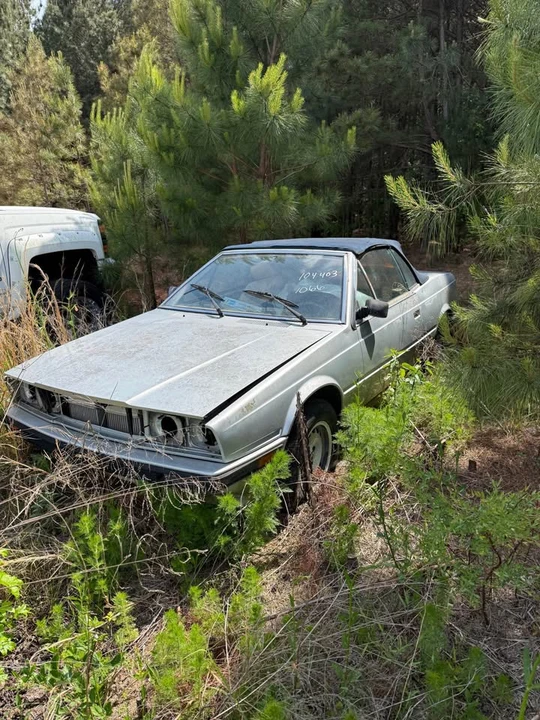 Maserati Biturbo - Image 2 of 4