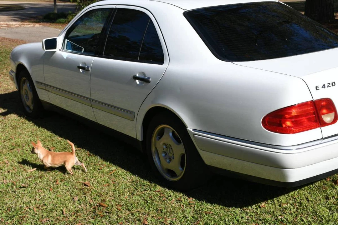 1997 Mercedes-Benz W124 E-Class - Image 16 of 24