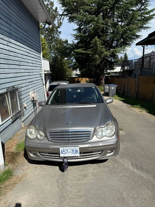 2007 Mercedes-Benz W203 C-Class - Image 16 of 16
