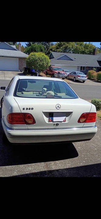 1997 Mercedes-Benz W210 E-Class - Image 3 of 17