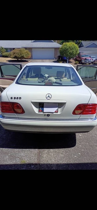 1997 Mercedes-Benz W210 E-Class - Image 17 of 17