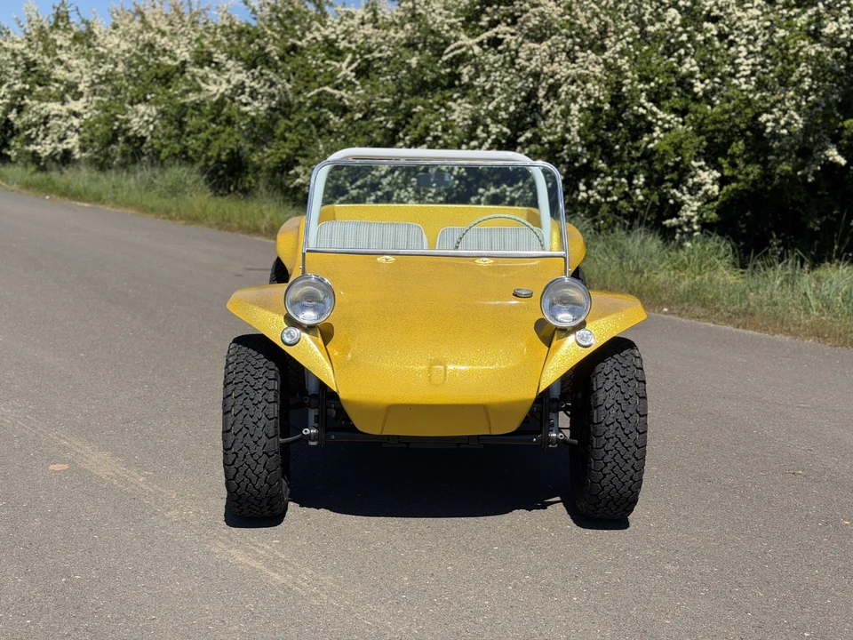 Meyers Manx - Image 16 of 31