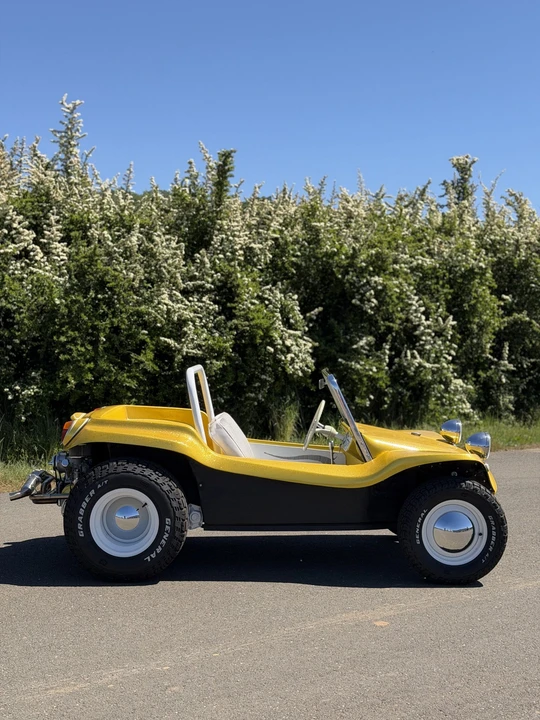 Meyers Manx - Image 12 of 31