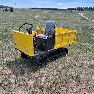 Mini Dumper