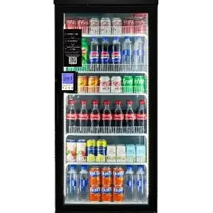 Mini Smart Cooler (US360C)