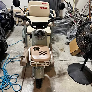 Mini Classic Mini Electric Golf Cart