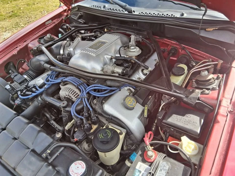 1996 Ford SN95 Mustang Cobra - Image 5 of 9