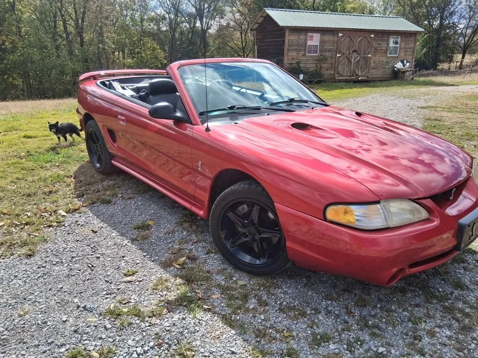 1996 Ford SN95 Mustang Cobra - Image 3 of 9