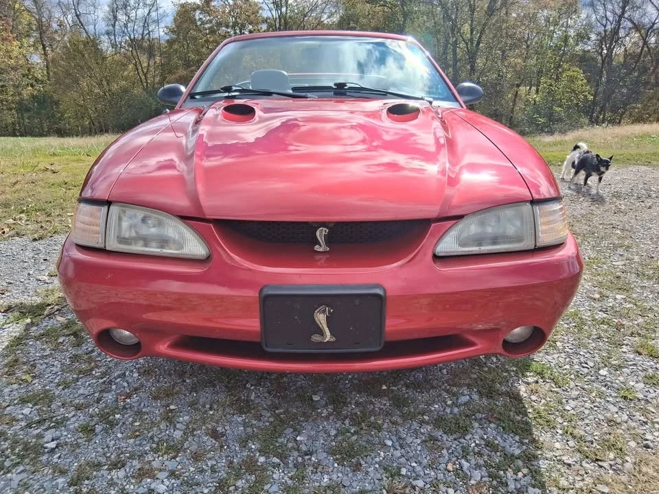 1996 Ford SN95 Mustang Cobra - Image 4 of 9