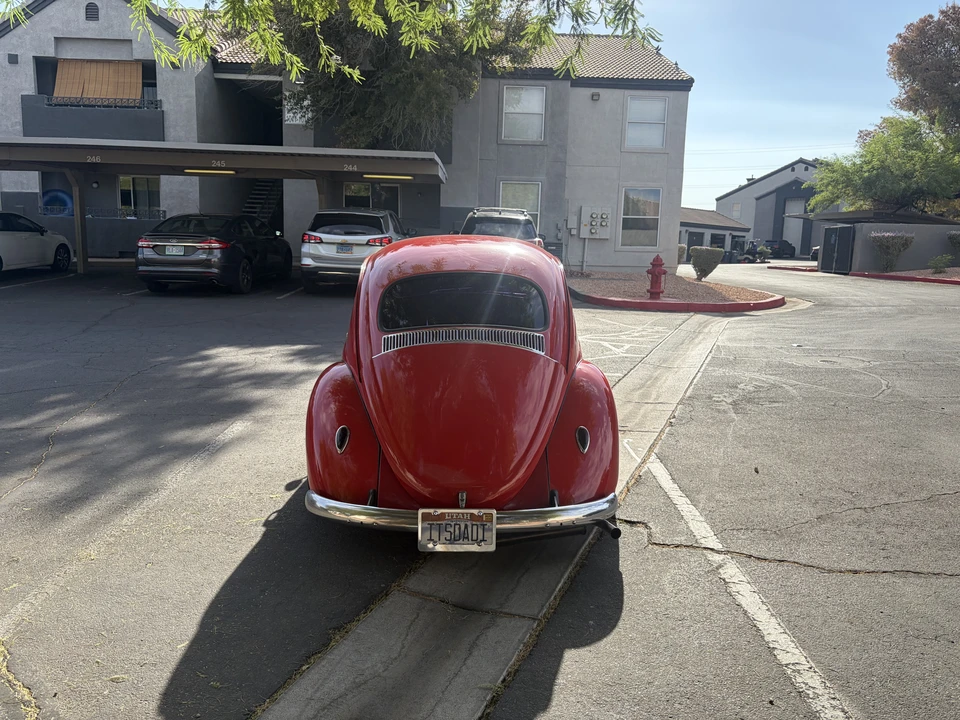 1964 Volkswagen Beetle (1958-1979) - Image 5 of 31