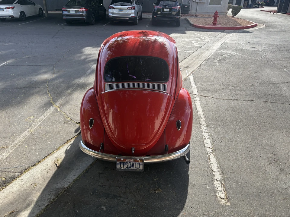 1964 Volkswagen Beetle (1958-1979) - Image 6 of 31