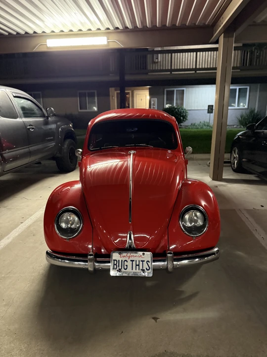 1964 Volkswagen Beetle (1958-1979) - Image 14 of 31