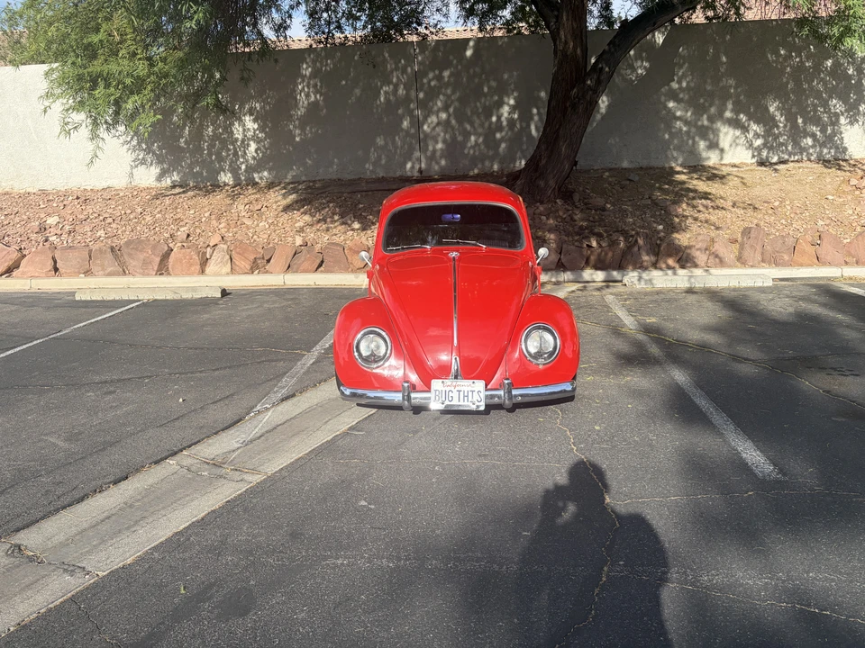 1964 Volkswagen Beetle (1958-1979) - Image 11 of 31