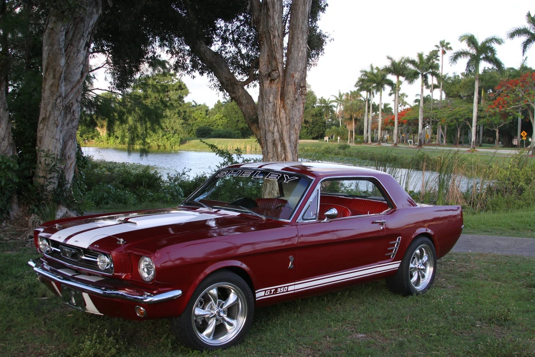 1966 Ford Mustang 1st Gen (1964.5-1966) - Image 11 of 31
