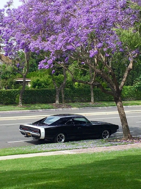 1969 Dodge Charger 2nd Gen - Image 6 of 31