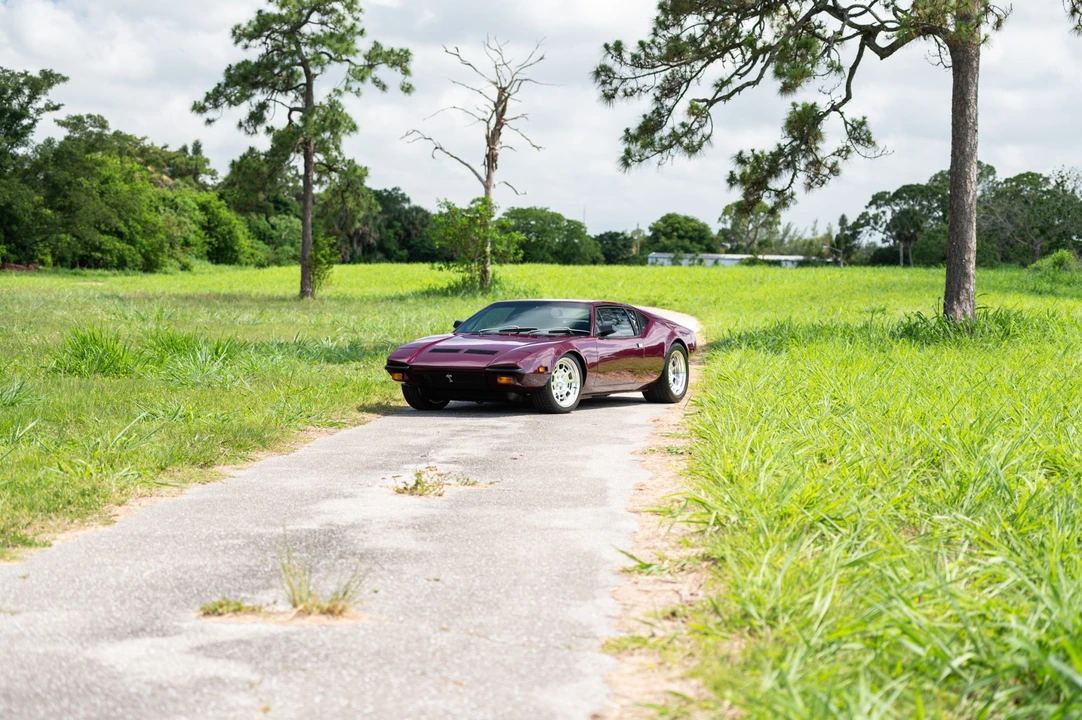 1973 DeTomaso Pantera - Image 3 of 31