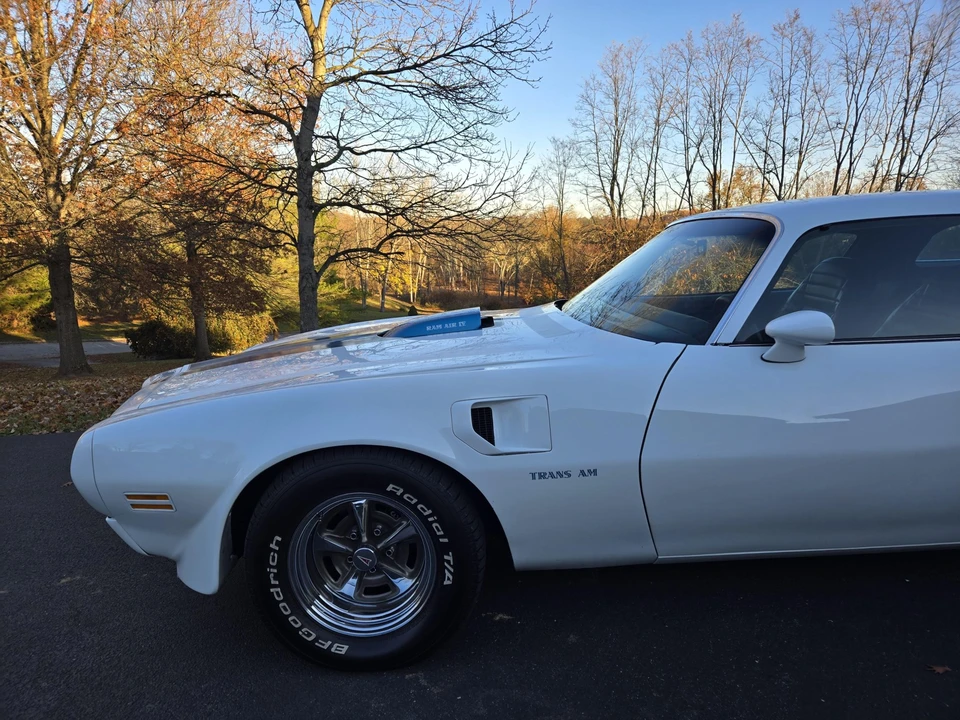 1975 Pontiac Firebird Trans Am 2nd Gen - Image 23 of 31