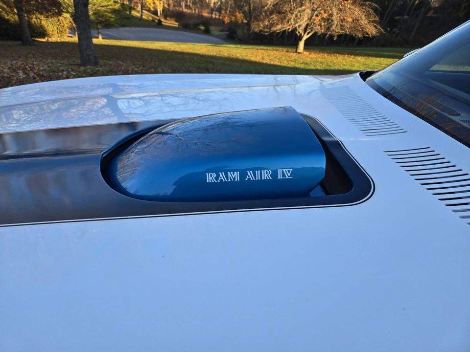 1975 Pontiac Firebird Trans Am 2nd Gen - Image 22 of 31