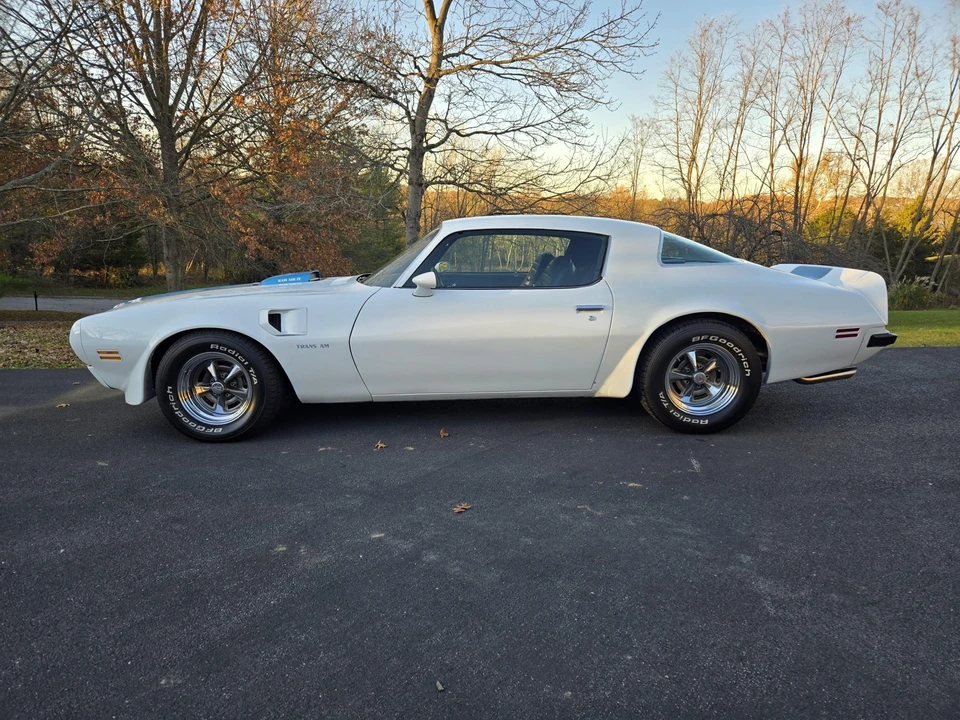1975 Pontiac Firebird Trans Am 2nd Gen - Image 8 of 31