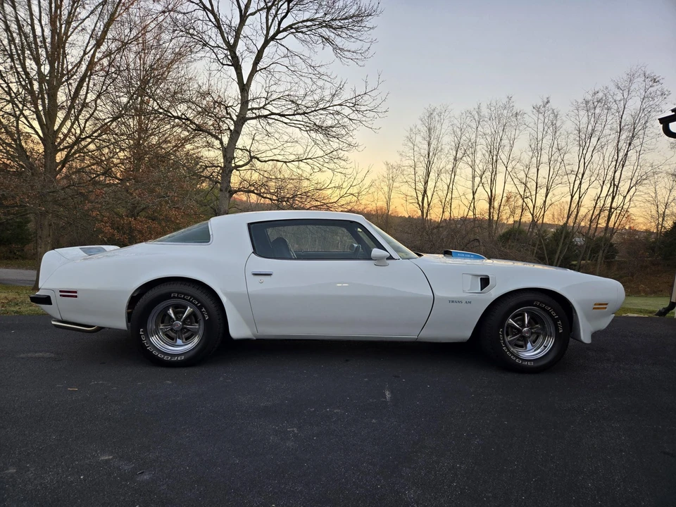 1975 Pontiac Firebird Trans Am 2nd Gen - Image 12 of 31