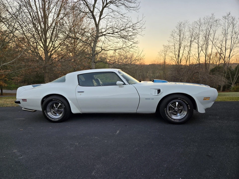 1975 Pontiac Firebird Trans Am 2nd Gen - Image 11 of 31