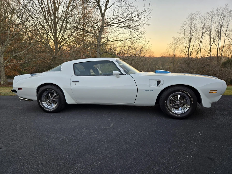 1975 Pontiac Firebird Trans Am 2nd Gen - Image 13 of 31