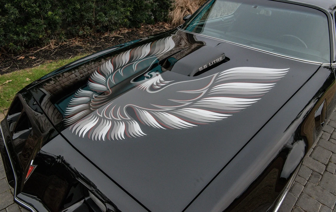 1979 Pontiac Firebird Trans Am 2nd Gen - Image 24 of 31