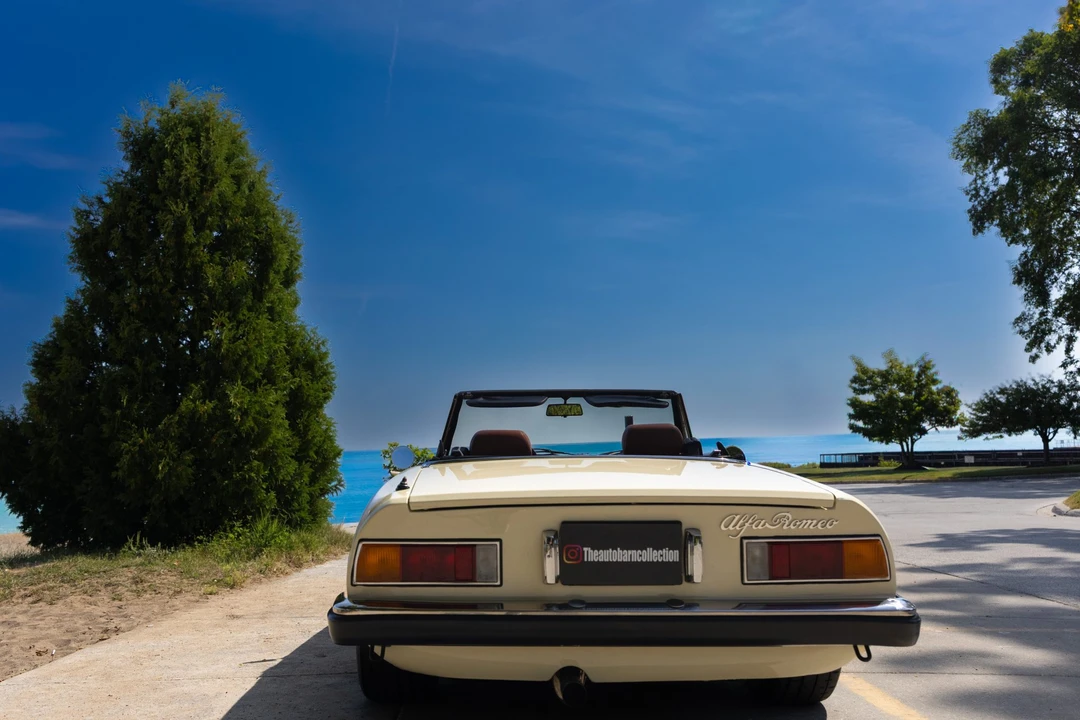 1981 Alfa Romeo Series 2 - Image 9 of 31