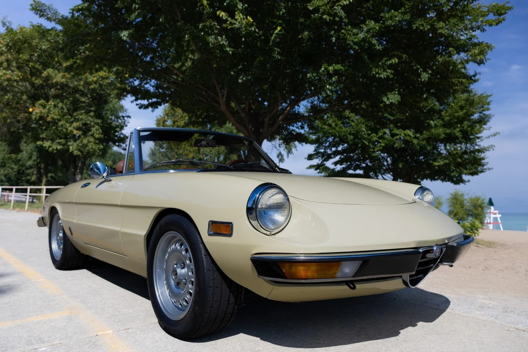 1981 Alfa Romeo Series 2 - Image 5 of 31