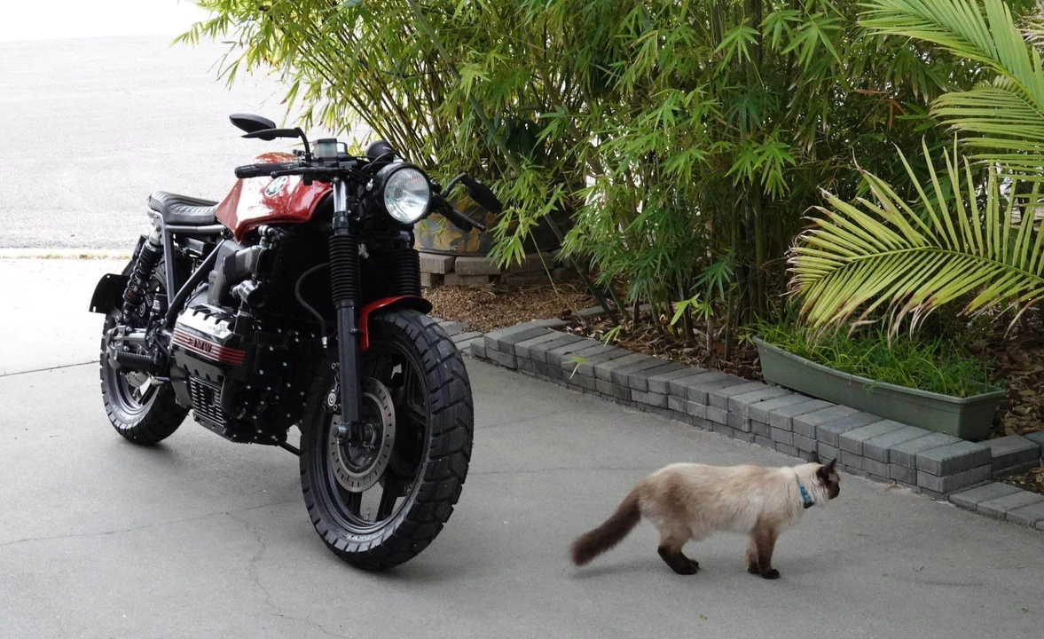 1985 BMW K75 & K100 - Image 11 of 31