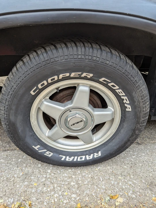 1989 Dodge Dakota 1st Gen - Image 23 of 31