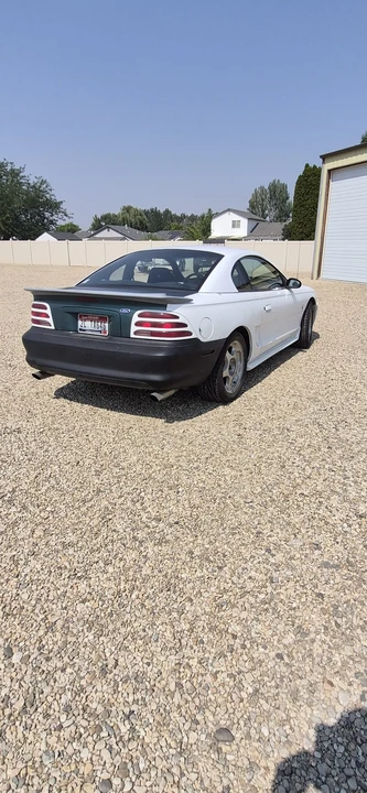 1995 Ford SN95 Mustang Cobra - Image 8 of 31