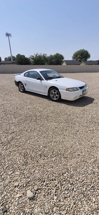 1995 Ford SN95 Mustang Cobra - Image 12 of 31
